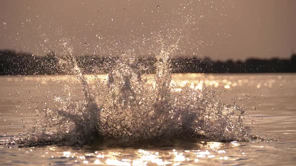 Silhouette of Happy Boy Diving Into the River at Sunset. Slow Motion