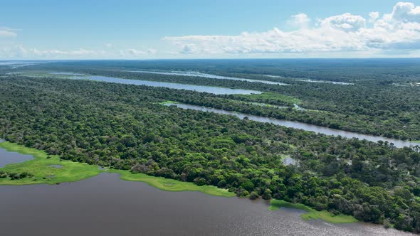 Stunning landscape of Amazon Forest at Amazonas State Brazil.