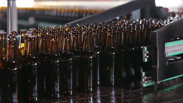 Empty Beer Glass Bottles on the Conveyor Belt