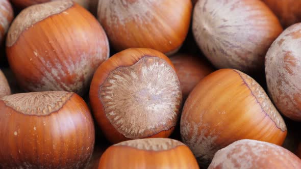 Hazelnut Abstract Background. Rotate