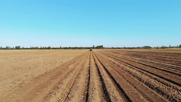 Potato Harvesting