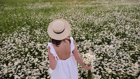 Woman in a White Dress and Hat Walks Through a Field with Daisies in the Evening at Sunset in Summer