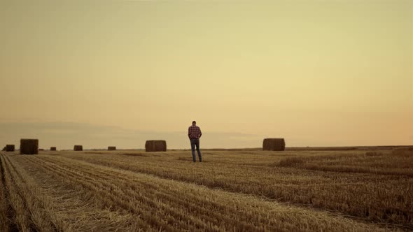 Agrarian Walk Haystack Field at Sunset Countryside