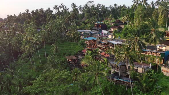 sunrise of coffee shops at Tegallalang Rice Terrace in Ubud Bali, aerial