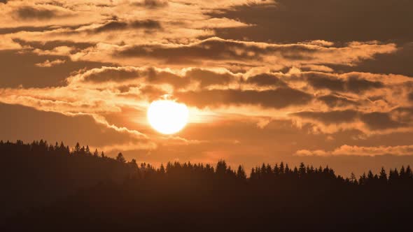 Sunset over Forest