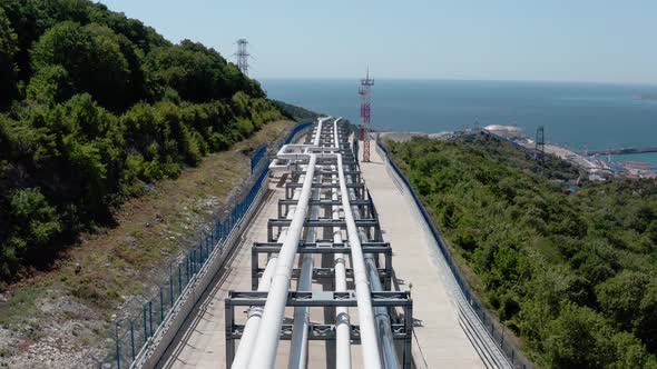 White oil pipeline and gas pipeline stretched through the forest against the sea
