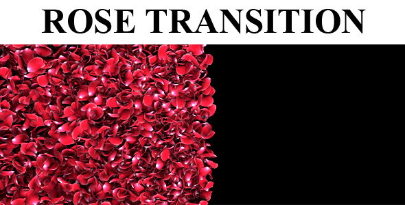 Rose Petal Transition