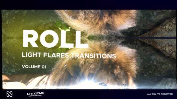 Light Flares Roll Transitions Vol. 01 alt