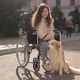 Pretty Disabled Invalid Asian Girl Sitting on Wheelchair and Petting a Guide Dog While Riding on - VideoHive Item for Sale