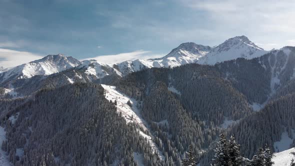 Aerial Shot of Winter Snow Forest in the Mountains