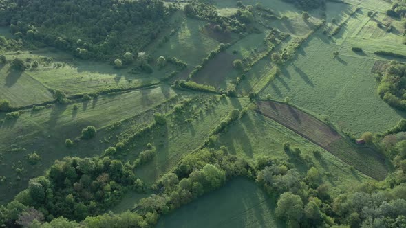 Spring scenery in the meadow by early morning 4K drone video