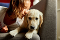 Happy teenage girl lying on sofa and embracing her puppy golden retriever - PhotoDune Item for Sale