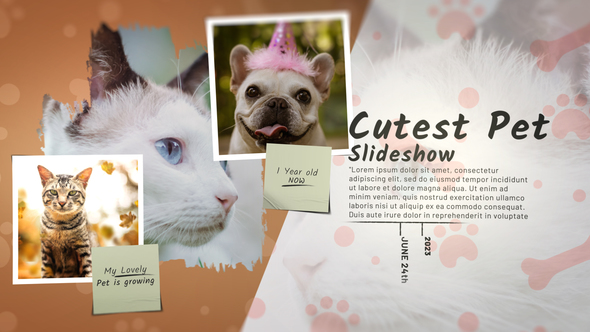Cutest Pet Slideshow