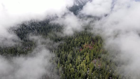 Flying over snow covered forest in Oregon