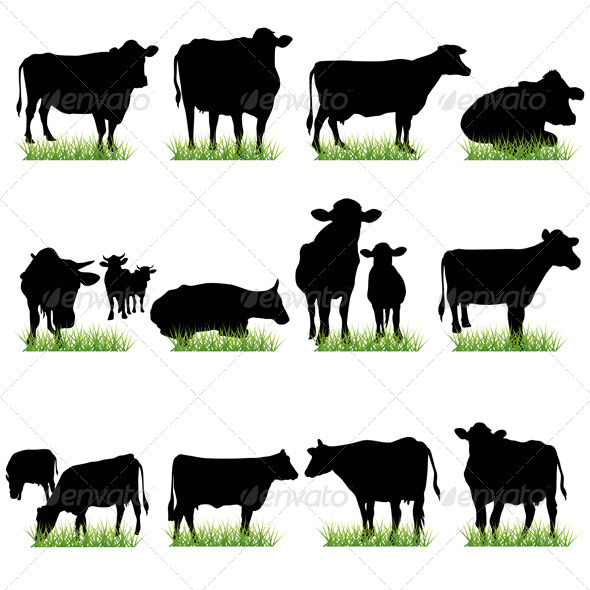 Cows Silhouettes Set