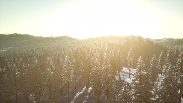 Mountain Landscape on a Winter Sunny Day