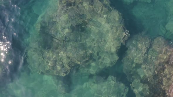 Shallow Sea Water with Stones