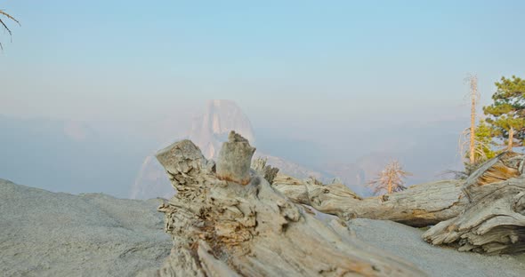 Yosemite National Park USA