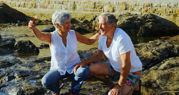 Senior couple holding a bird near sea 