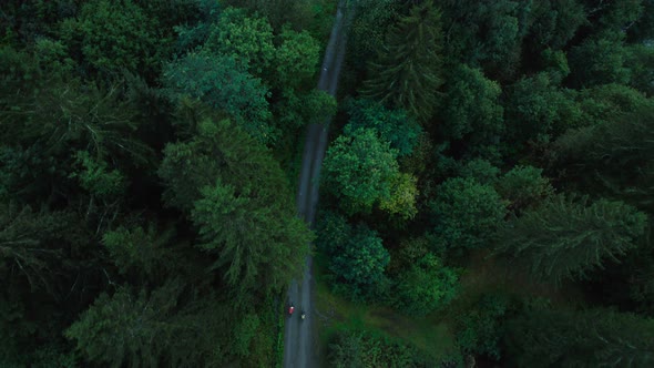 Flight Aerial Shot of Two Cyclists on Forest Road