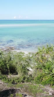 Zanzibar Tanzania  Ocean Shore Covered with Green Thickets Vertical Video