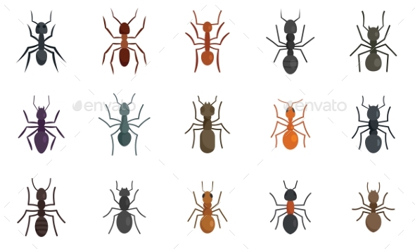 Ant Icons Set Flat Style