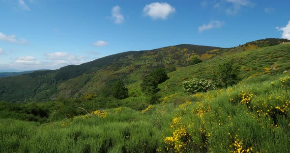 Col de la Croix de Berthel, Pont de Montvert, Mont Lozere, Lozere, France