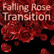 Falling Rose Transition - VideoHive Item for Sale