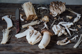 Various edible Asian mushrooms. Set of vegetables. Dark photo natural light. - PhotoDune Item for Sale