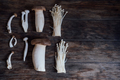 Various edible Asian mushrooms. Vegetable set. Dark photo natural light. Flatly - PhotoDune Item for Sale