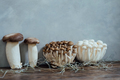 Various edible Asian mushrooms. Set of vegetables. Dark photo natural light. - PhotoDune Item for Sale