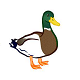 Ducks