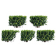 Buxus Sempervirens - Boxwood 01 - 3DOcean Item for Sale