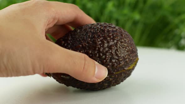 Women s hands hold two cut halves of fresh Green Avocado Front view.