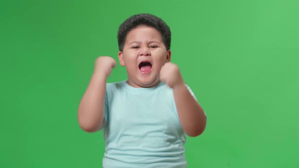 Cheerful Asian Little Boy Celebrating While Standing On Green Screen In The Studio alt