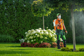 Professional Gardener in His 40s Insecticide Garden Plants - PhotoDune Item for Sale