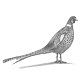 Pheasant