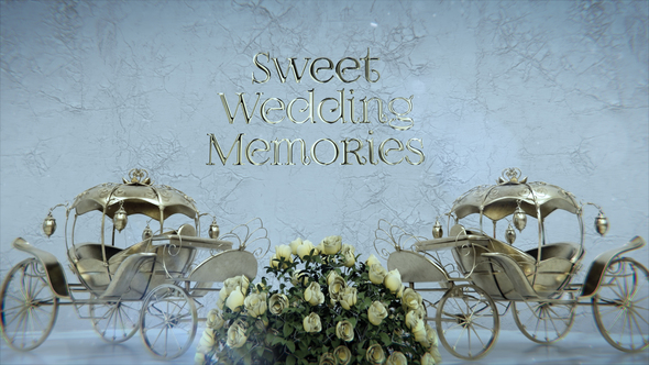Sweet Wedding Memories