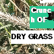 Crunch Of Dry Grass