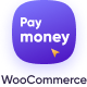 PayMoney - WooCommerce Addon - CodeCanyon Item for Sale