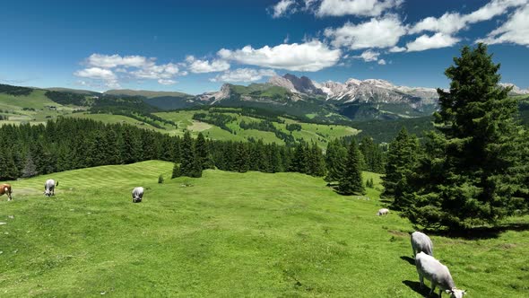 Beautiful summer day in the Dolomites mountains