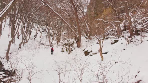 Female Person Hikes In Scenic Forest In Winter