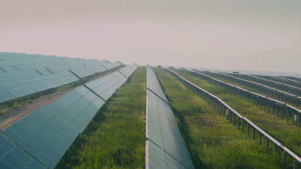 Competent Worker of Photovoltaic Farm Walking Outdoors