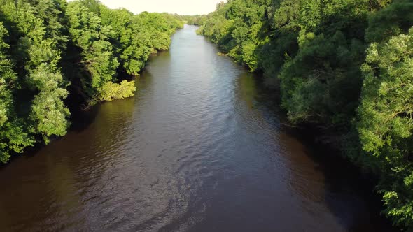 Drone Flight Over Water and Trees From a Height