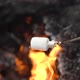 Marshmallow Roasting on Stick Over Unique Mountain Fire - VideoHive Item for Sale
