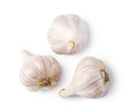 Garlic - PhotoDune Item for Sale