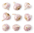 Garlic - PhotoDune Item for Sale