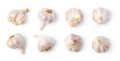 Garlic - PhotoDune Item for Sale