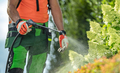 Insecticide and Fungicide on a Garden Plants - PhotoDune Item for Sale