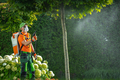 Using Insecticide or Fungicide on a Garden Trees - PhotoDune Item for Sale